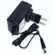 Зарядное устройство 12V 800 mAh для детского элеткромобиля 10250 фото 1