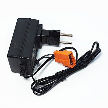 Зарядное устройство для детского электромобиля 6V 500mah 12107 фото