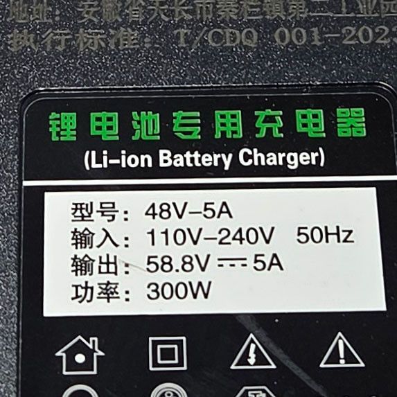 Зарядное устройство Li-ion 58,8V 5Ah (48V) 14S 5.5мм 12462 фото