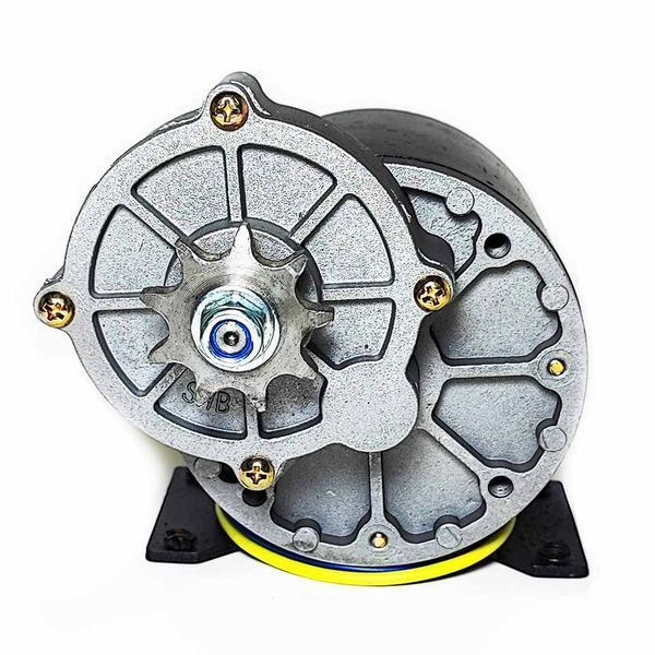 Мотор постоянного тока 12V 350W редукторный 300rpm 11824 фото