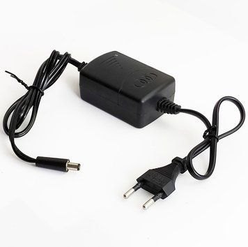 Зарядний пристрій 12V 1300MAh для дитячого електромобіля штекер 5.5 мм 10371 фото